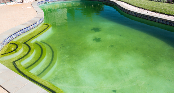 This image shows a dirty pool.